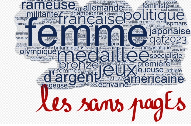 féminisme et dictionnaire dans …